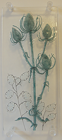 Teasels panel in green